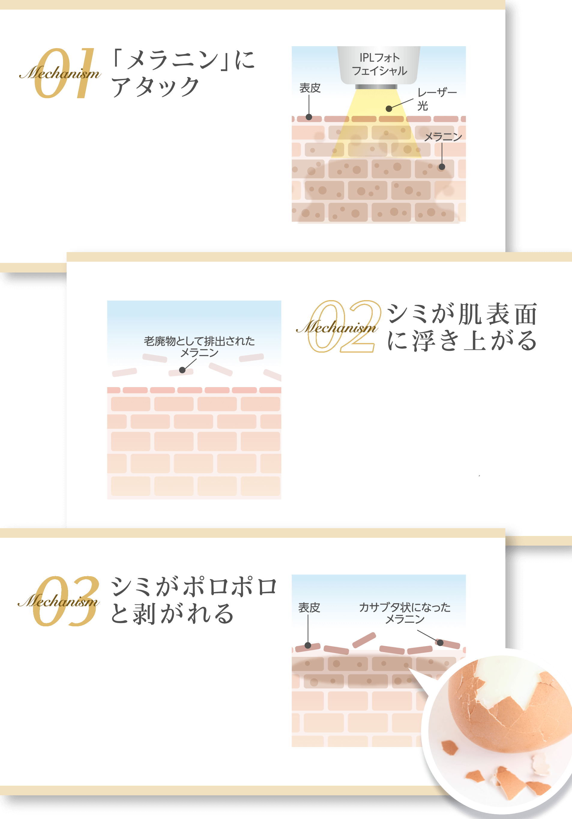 Mechanismシミの原因メラニンをとるメカニズム